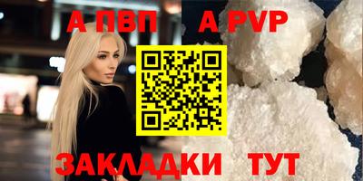 стафф Донской