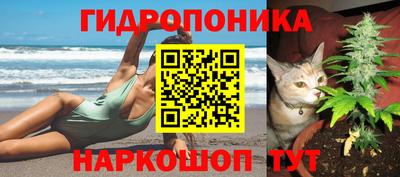 экстази Дубна
